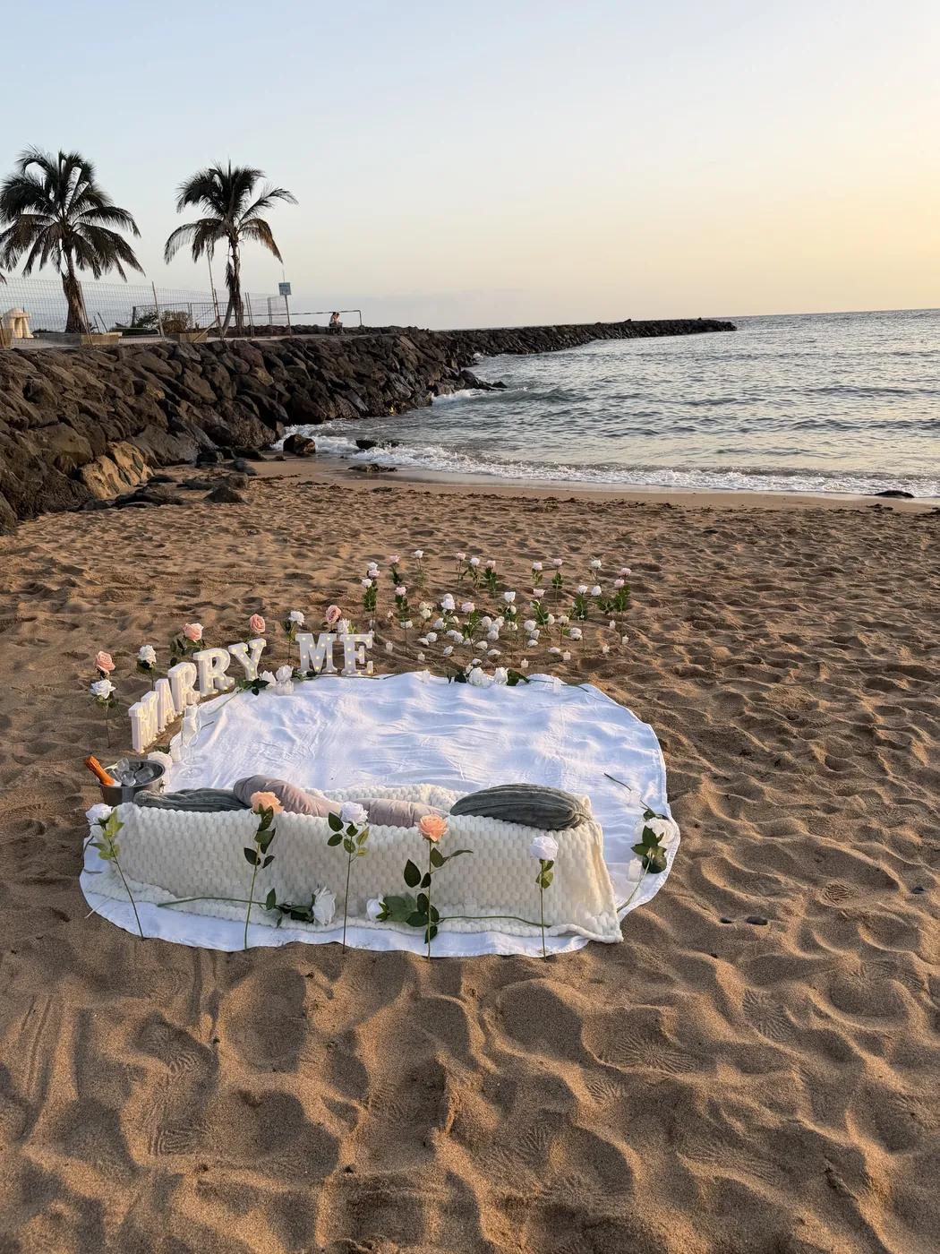 Beach picnic setup with roses and cushions beside the sea
